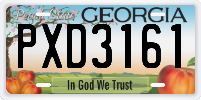 GA license plate PXD3161