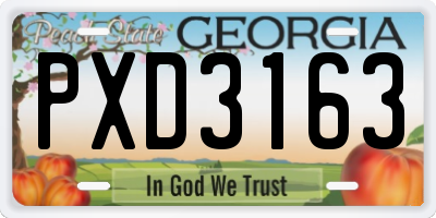 GA license plate PXD3163