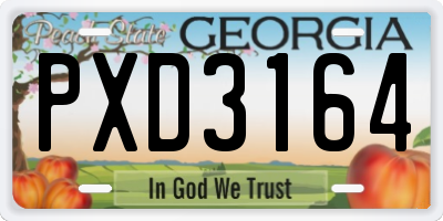 GA license plate PXD3164
