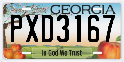GA license plate PXD3167