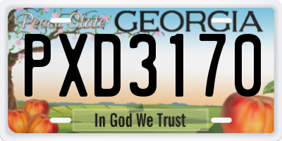 GA license plate PXD3170