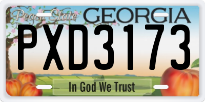 GA license plate PXD3173
