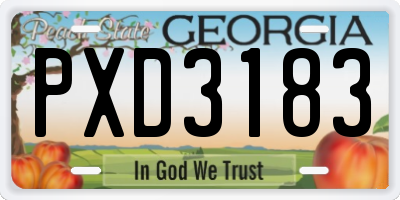 GA license plate PXD3183