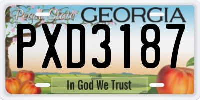 GA license plate PXD3187