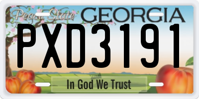 GA license plate PXD3191