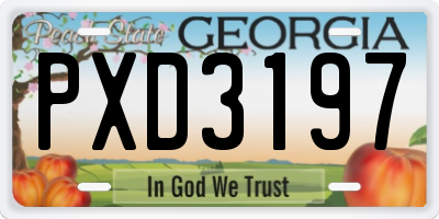 GA license plate PXD3197