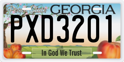 GA license plate PXD3201