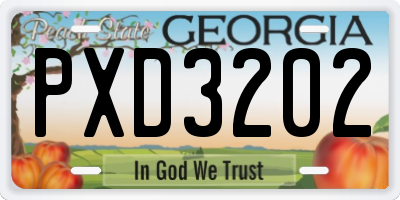 GA license plate PXD3202