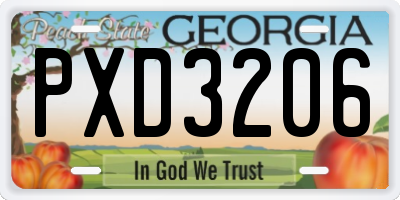 GA license plate PXD3206