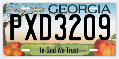 GA license plate PXD3209