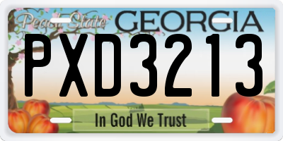 GA license plate PXD3213