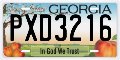 GA license plate PXD3216