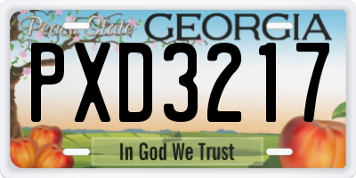 GA license plate PXD3217