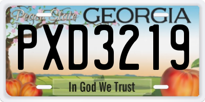 GA license plate PXD3219
