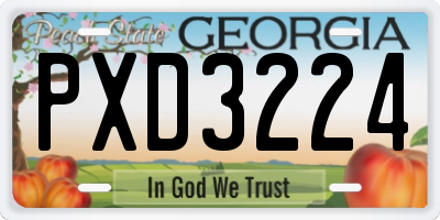 GA license plate PXD3224