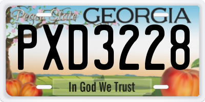 GA license plate PXD3228