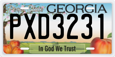 GA license plate PXD3231