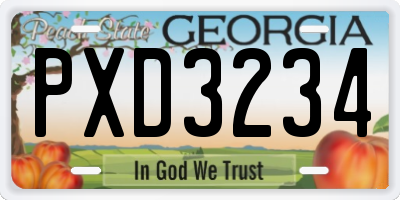 GA license plate PXD3234