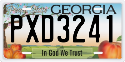 GA license plate PXD3241