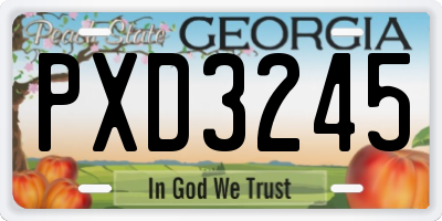 GA license plate PXD3245