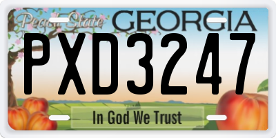 GA license plate PXD3247