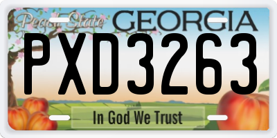GA license plate PXD3263