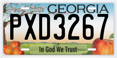 GA license plate PXD3267