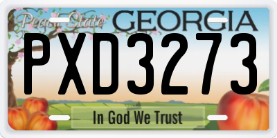 GA license plate PXD3273