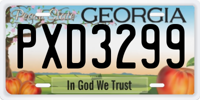 GA license plate PXD3299