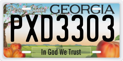 GA license plate PXD3303
