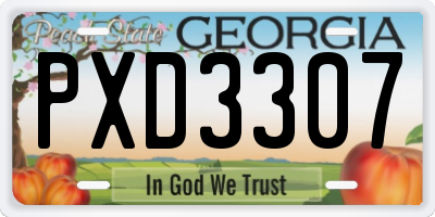 GA license plate PXD3307