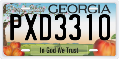 GA license plate PXD3310