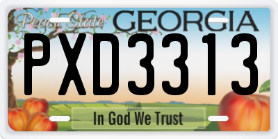 GA license plate PXD3313