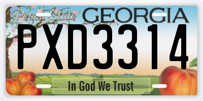 GA license plate PXD3314
