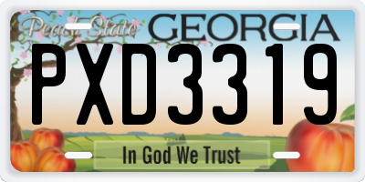 GA license plate PXD3319