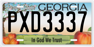 GA license plate PXD3337