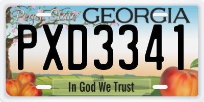GA license plate PXD3341