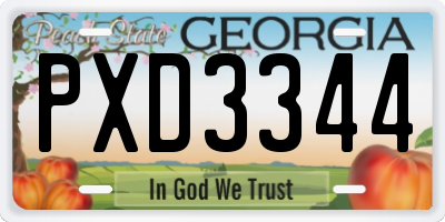 GA license plate PXD3344