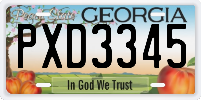 GA license plate PXD3345