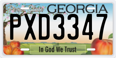 GA license plate PXD3347