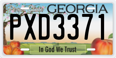 GA license plate PXD3371