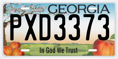 GA license plate PXD3373