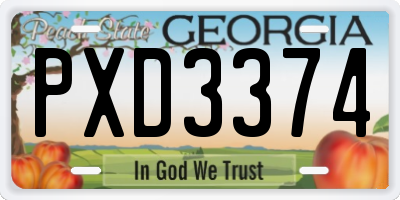 GA license plate PXD3374