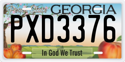 GA license plate PXD3376