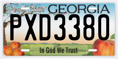 GA license plate PXD3380