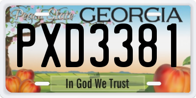GA license plate PXD3381