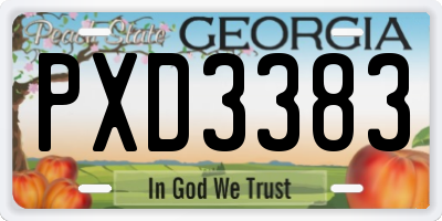 GA license plate PXD3383