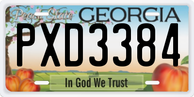 GA license plate PXD3384