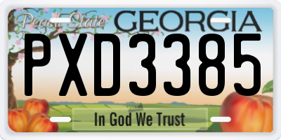 GA license plate PXD3385