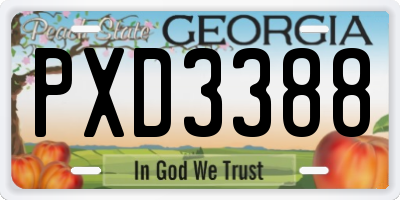 GA license plate PXD3388